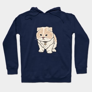 Angry Kitten Hoodie